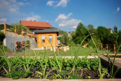 a garden with green plants in front of a house at Apartment Bon in Kobarid