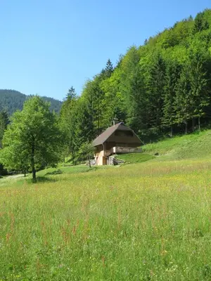 a small cabin in a field of grass with a hill at Apartmaji Brložnica pod Veliko planino in Luče