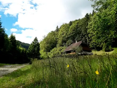 a barn in the middle of a field with trees at Apartmaji Brložnica pod Veliko planino in Luče