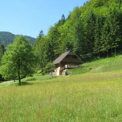 Apartmaji Brložnica pod Veliko planino