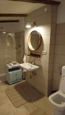 a bathroom with a sink and a mirror and a toilet at Kraska nisa in Komen