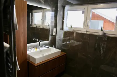 a bathroom with a sink and a mirror at Apartments Boldin in Bled