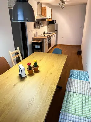 a kitchen with a wooden table with two plants on it at Spacious Cozy apartment in Ljubljana