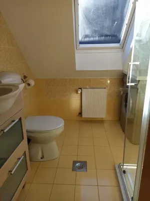 a bathroom with a toilet and a sink and a window at Apartments Dvor in Bovec