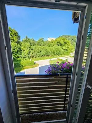 a window with a view of a garden with purple flowers at Apartments Domačija Mlaker in Podčetrtek