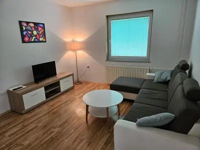 a living room with a couch and a tv at Apartments Domačija Mlaker in Podčetrtek