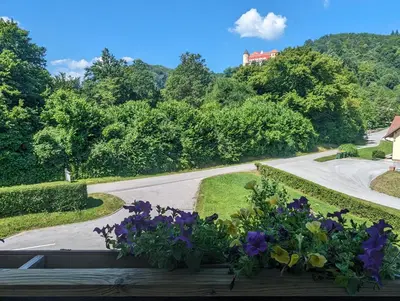 a view of a road with flowers in a window at Apartments Domačija Mlaker in Podčetrtek