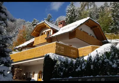 a house with snow on the roof at Apartment Milly in Bled