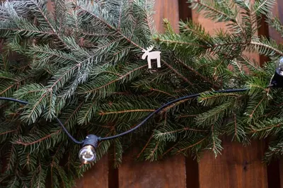 a christmas tree branch with a toy ornament on it at Pretty Jolie Romantic Getaway in Bled