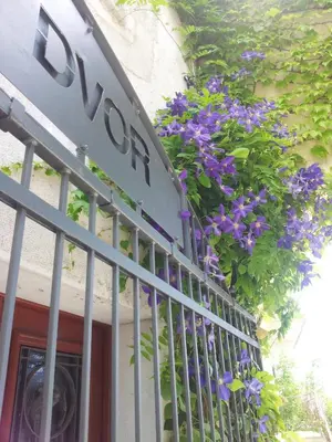 a fence with purple flowers on the side of a building at Boutique Hotel Dvor in Dobrovo