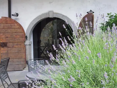 a garden with purple flowers and a table and chairs at Boutique Hotel Dvor in Dobrovo