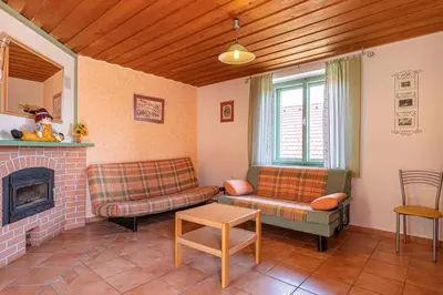 a living room with two couches and a fireplace at Lukčeva domačija počitniška hiša - Happy Rentals in Kostel