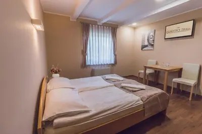 a hospital room with a bed and a table and a desk at Guesthouse Živko in Dobrovce