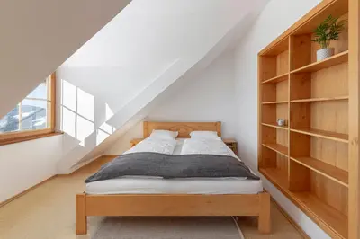 a bedroom with a bed and a book shelf at Guest House Štruc in Slovenj Gradec