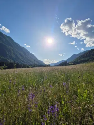 a field of purple flowers in a field with mountains at Apartment PETRA Mojstrana in Mojstrana