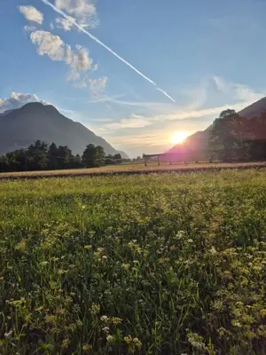 a field of grass with the sunset in the background at Apartment PETRA Mojstrana in Mojstrana