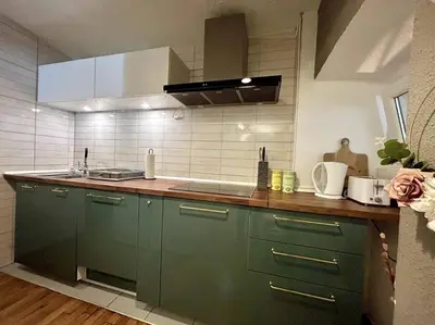 a kitchen with green cabinets and a sink at Charming appartment 3-min walk to old town - FREE PARKING in Ljubljana