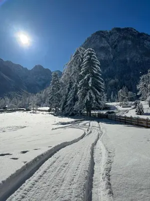 a snow covered field with tracks in the snow at Radovna Chalet with Panoramic View in Mojstrana