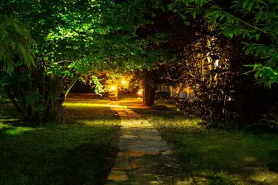 a tree lined path in a park at night at Pipa’s Place - Stylish garden prime location apt in Ljubljana