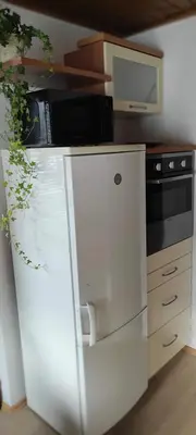 a kitchen with a white refrigerator and a microwave at Idyllic Retreat Next to an Elven Forest in Gozd Martuljek