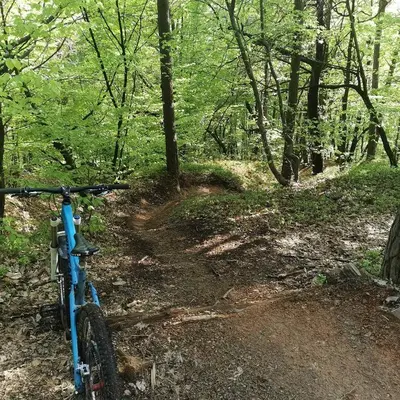a bike parked on a trail in the woods at Apartma Smučišče Krvavec in Cerklje na Gorenjskem