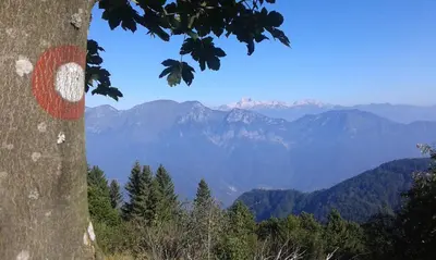 a view of mountains with a red cross on a tree at Apartment Kolman in Tolmin