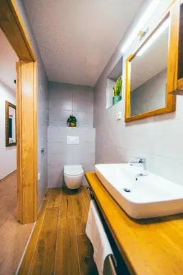 a bathroom with a sink and a toilet at Apartment House VINARIA in Zgornja Ložnica