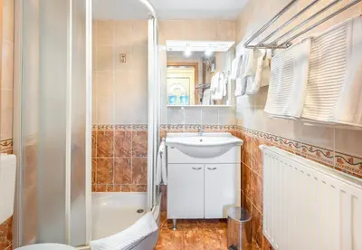 a bathroom with a toilet and a sink and a shower at Fortun Estate - apartmaji ob reki Kolpi in Metlika