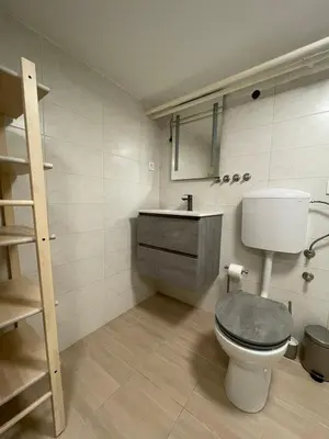 a bathroom with a toilet and a sink at Laibach Suite in Ljubljana