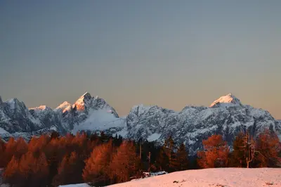 a snow covered mountain range with trees in the foreground at Apartment Leposa in Kranjska Gora