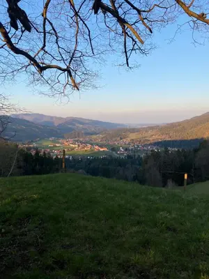 a view from the top of a hill at Apartma Ella in Lovrenc na Pohorju