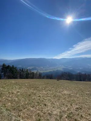 a view of a field with the sun in the sky at Apartma Ella in Lovrenc na Pohorju
