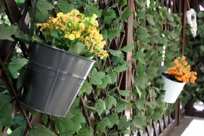 two black buckets of flowers hanging on a wall at Apartment Jona, Bled in Bled