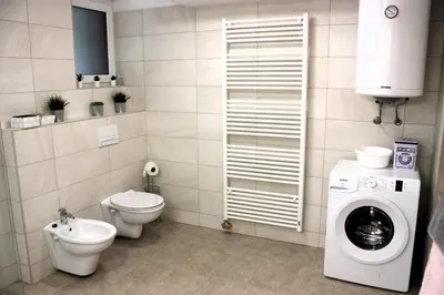 a bathroom with a toilet and a washing machine at Apartment Jona, Bled in Bled