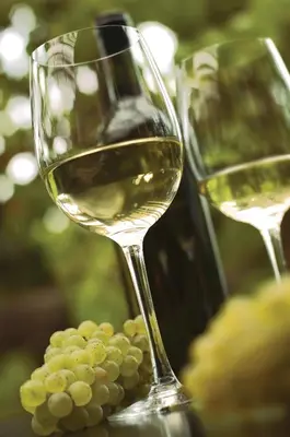 two glasses of white wine and a bunch of grapes at Ca' S Lorenz - A Luxury 100m2 Apartment in a Chic Vineyard Villa in Dobrovo