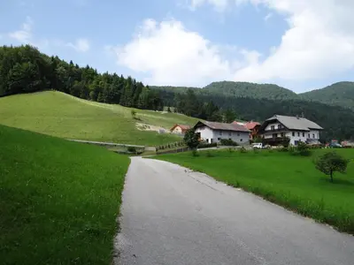 a road leading into a green field with houses at Apartments Trebušak in Laze v Tuhinju