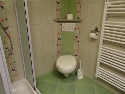 a small bathroom with a toilet and a shower at Apartments Trebušak in Laze v Tuhinju