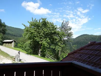 a view from the roof of a house at Apartments Trebušak in Laze v Tuhinju