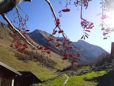 a view of a valley with mountains in the background at Apartment Šavli in Kobarid