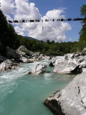 a group of birds sitting on a clothes line over a river at Apartment Šavli in Kobarid