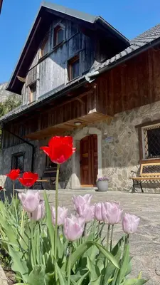 a group of red flowers in front of a building at 4 Elements Glamping & Apartments in Bled