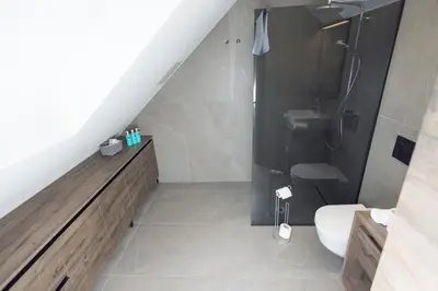 a bathroom with a shower and a sink and a toilet at 4 Elements Glamping & Apartments in Bled