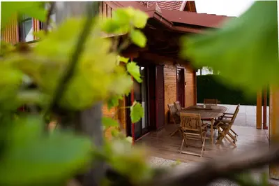 a wooden deck with a table and chairs on it at HIŠA ROSA in Veržej