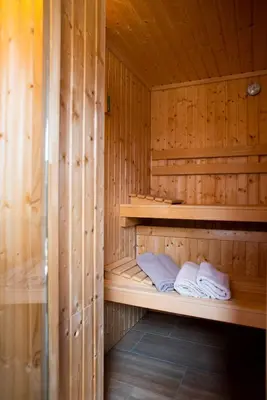 a sauna with two towels sitting on a shelf at HIŠA ROSA in Veržej