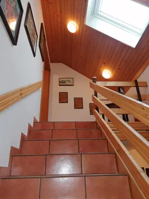 a set of stairs in a house with a skylight at Apartma ČVRSTA TROJKA in Jesenice