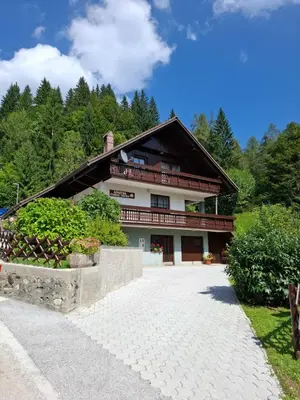 a house in the mountains with a driveway at Apartma ČVRSTA TROJKA in Jesenice