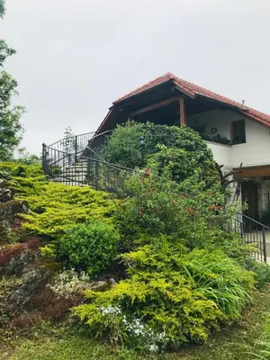 a house with a bunch of plants in front of it at Gracarjeva domačija in Mišji Dol