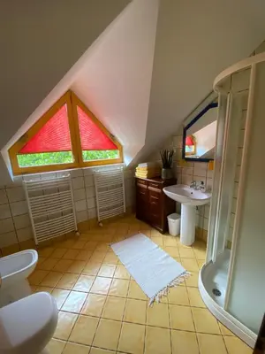 a bathroom with a shower and a sink and a window at Gracarjeva domačija in Mišji Dol