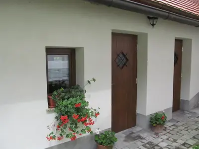 a house with two potted plants and a door at Apartment Sever in Idrija