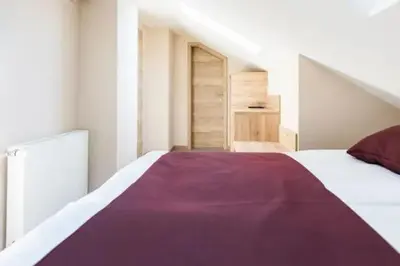 a bedroom with a large bed with a purple blanket at EnDi Rooms in Ljubljana